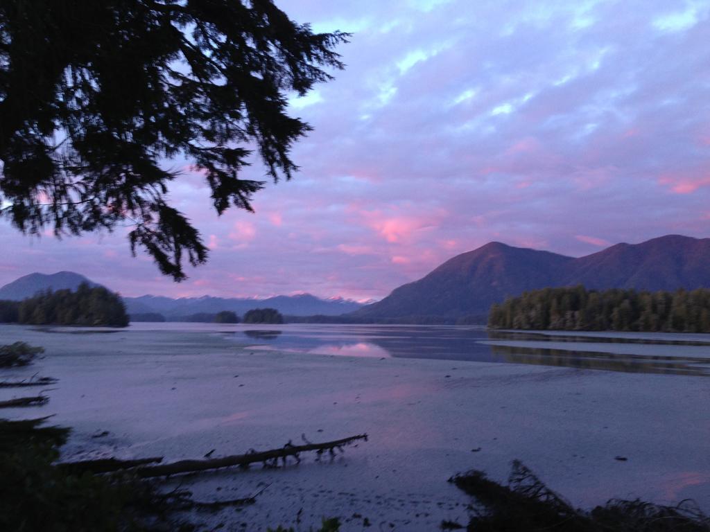 Black Bear Guesthouse Tofino Exterior photo